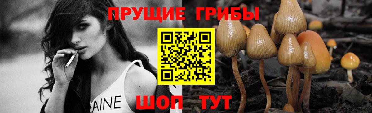 Галлюциногенные грибы ЛСД Саранск